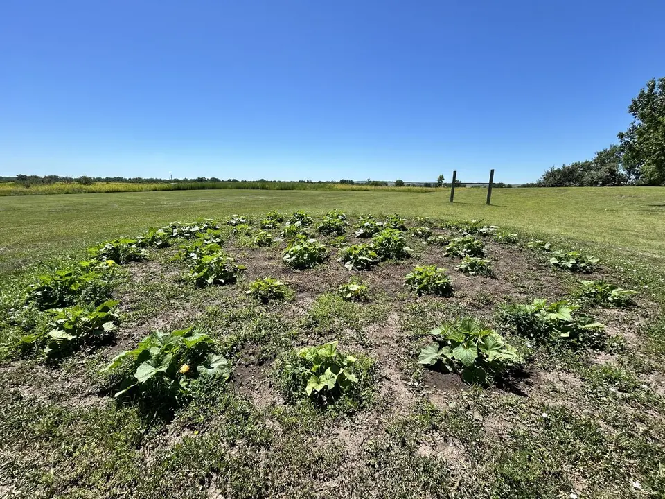 Knife River, at Stanton, North Dakota — July 2, 2025