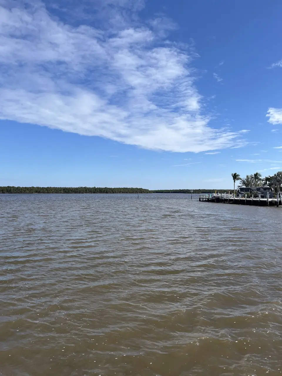 Everglades National Park field photograph