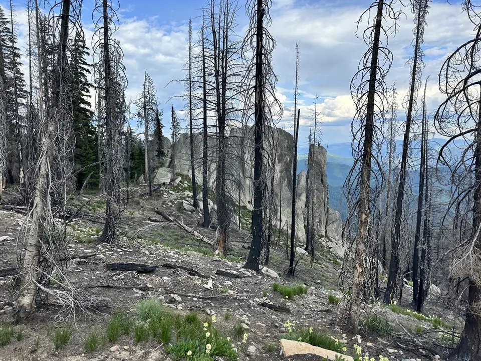 Lolo Trail — July 6, 2023