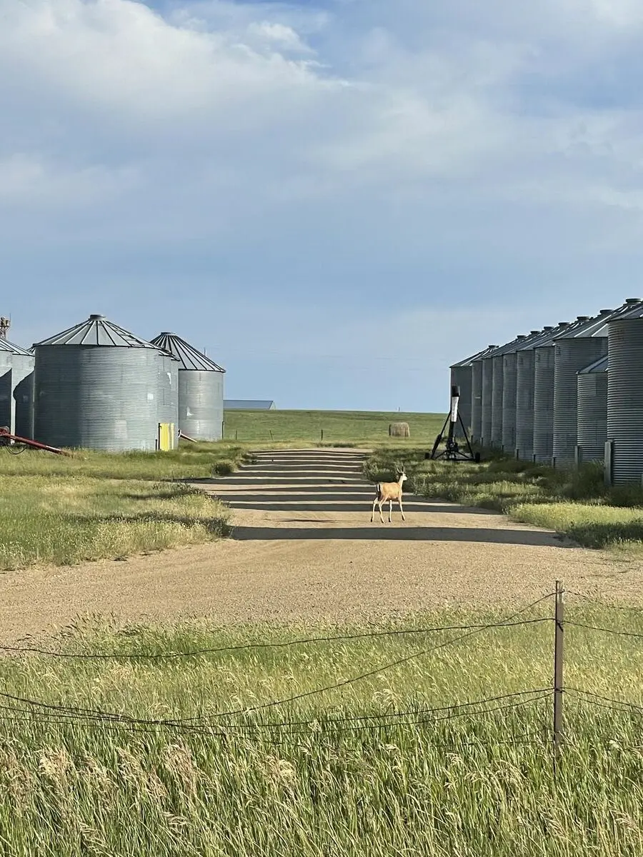 Fergus County, Montana — July 15, 2022