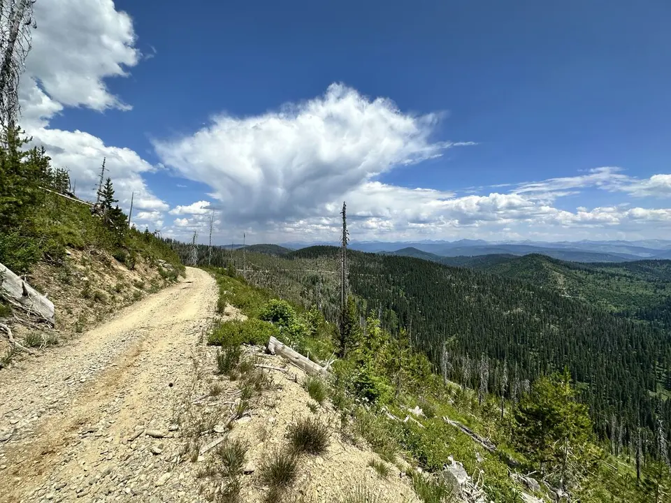 Trail Mapping — July 6, 2023