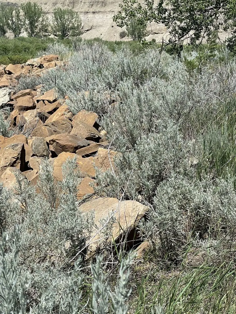 Fergus County, Montana — July 16, 2022