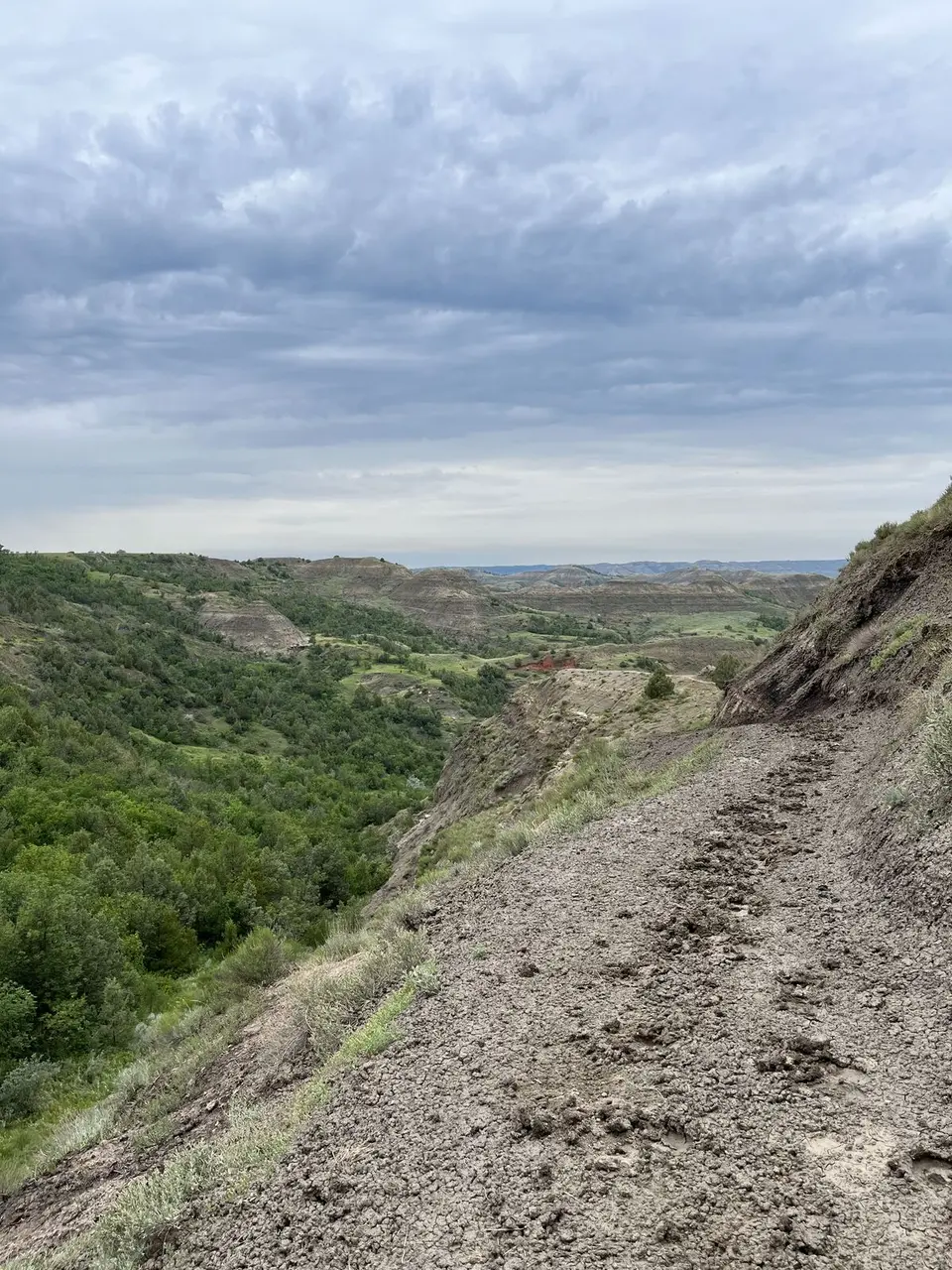 Near Killdeer, North Dakota — July 4, 2025