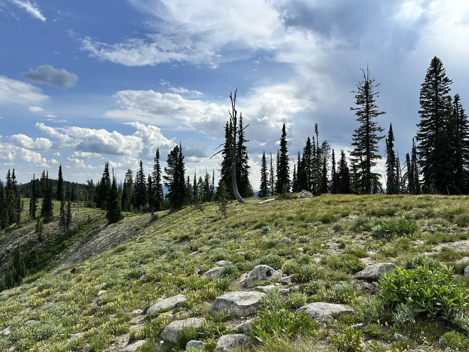 Lolo Trail — July 6, 2023