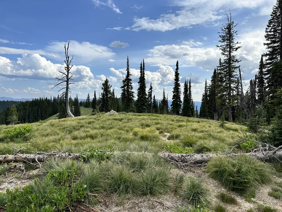 Lolo Trail — July 6, 2023