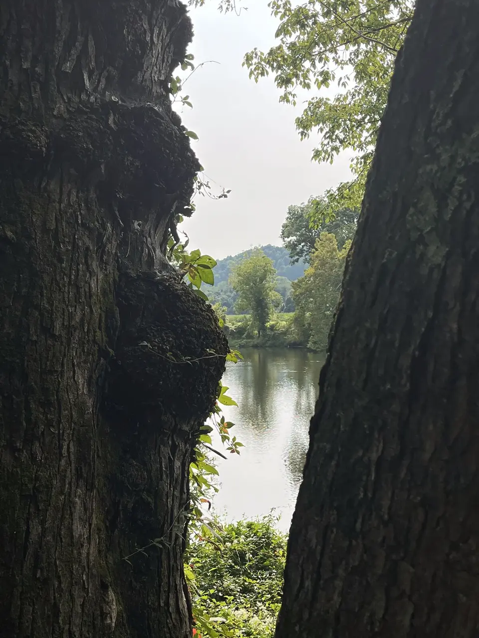 Central, Tennessee — September 5, 2025