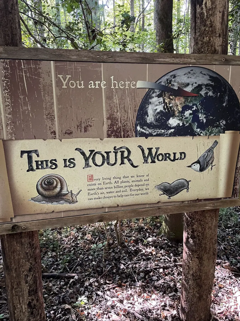 Near Glen Alpine, North Carolina — September 10, 2025