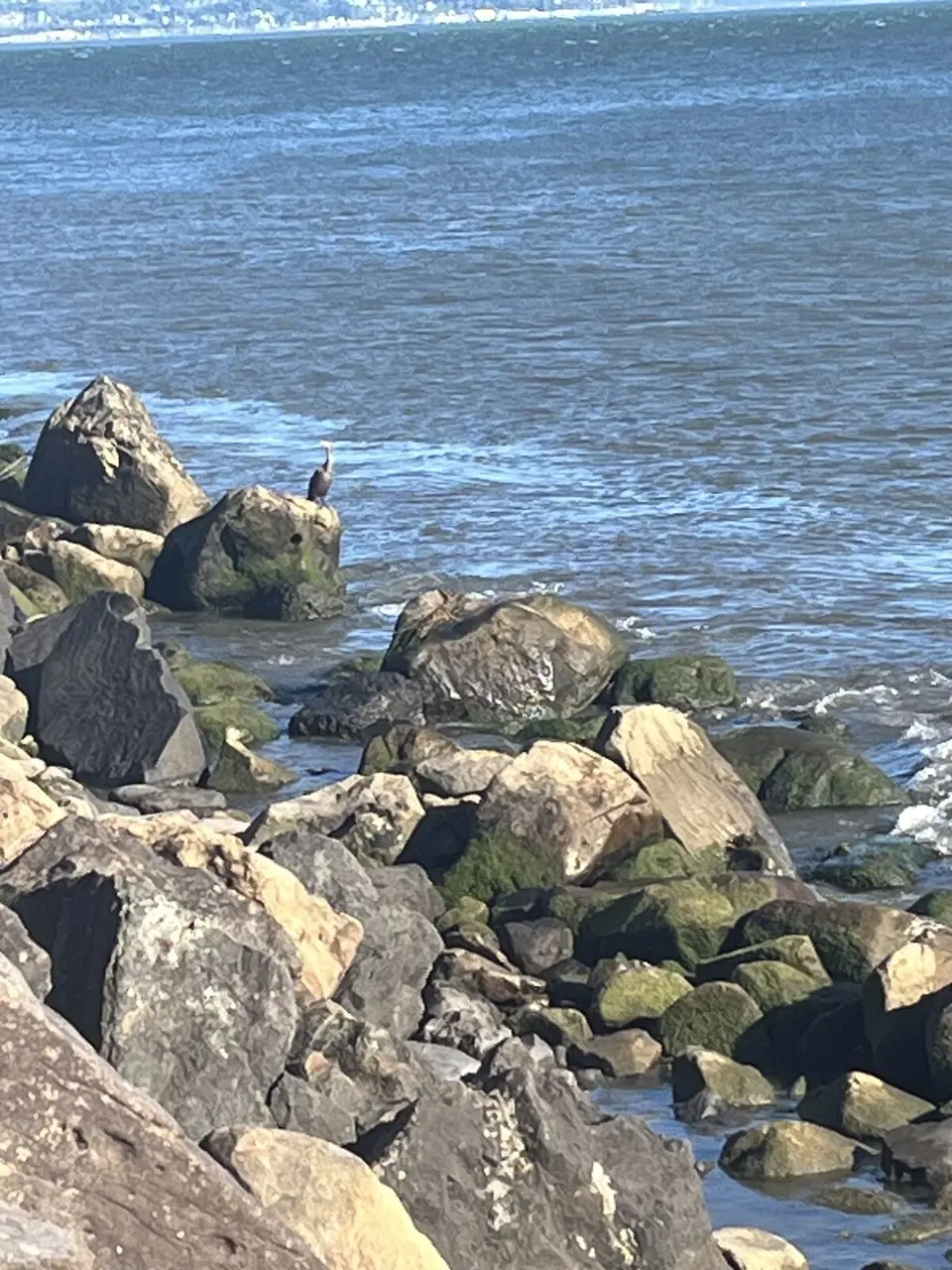 Columbia River, near Astoria, Oregon — June 29, 2025
