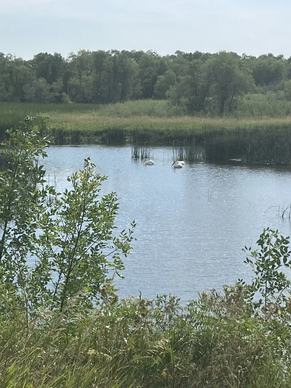 Williams County, North Dakota — August 2, 2025