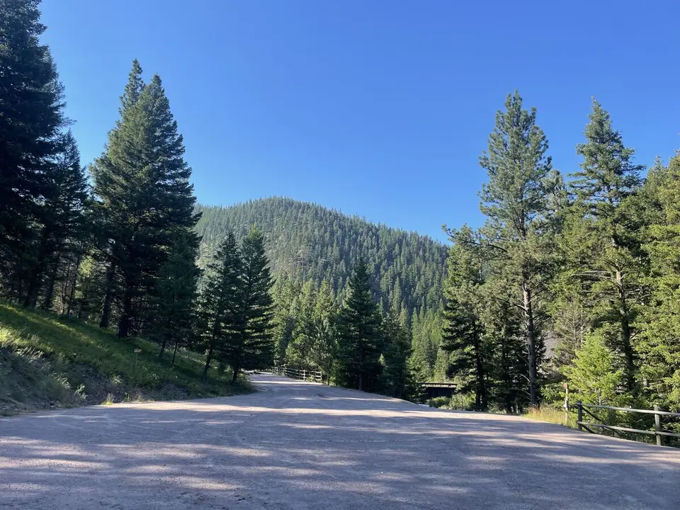 Road to the Buffalo — July 14, 2022
