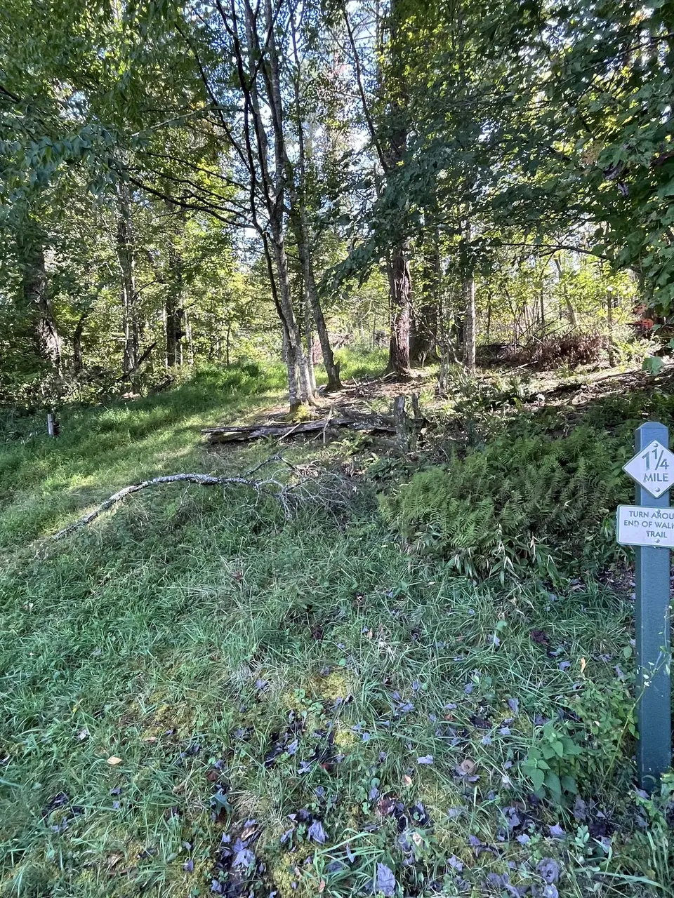 Near Spruce Pine, North Carolina — September 7, 2025