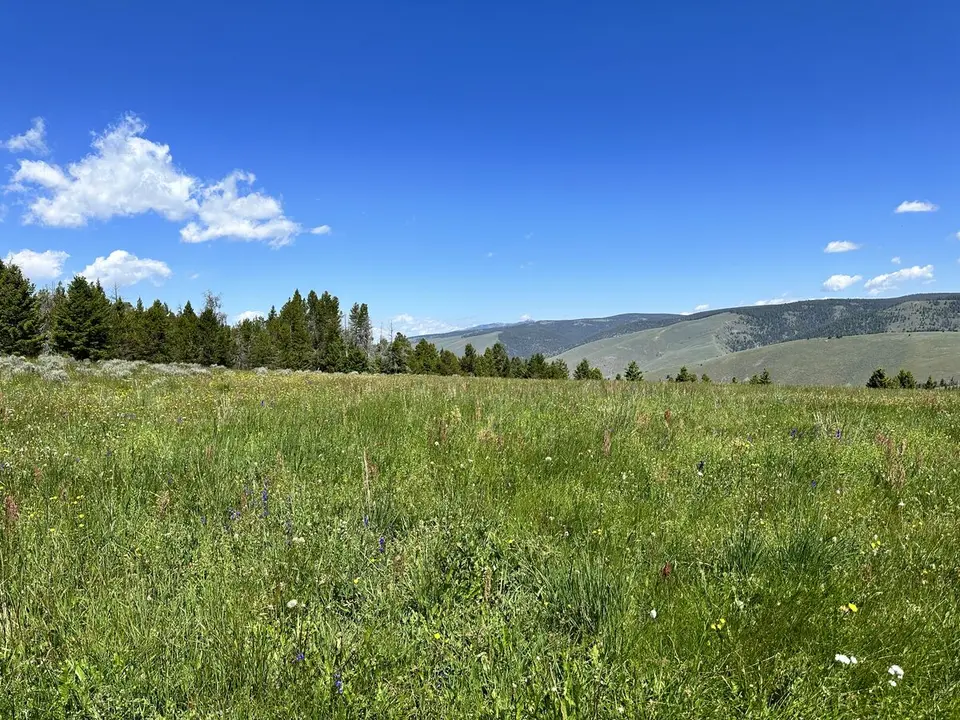 Lemhi Pass — July 11, 2023