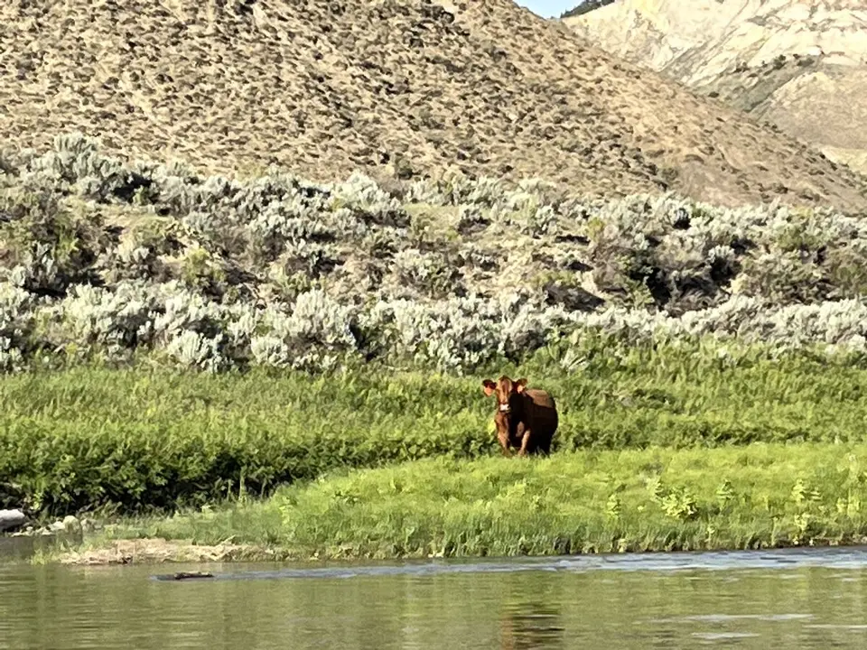 Blaine County, Montana — July 15, 2022