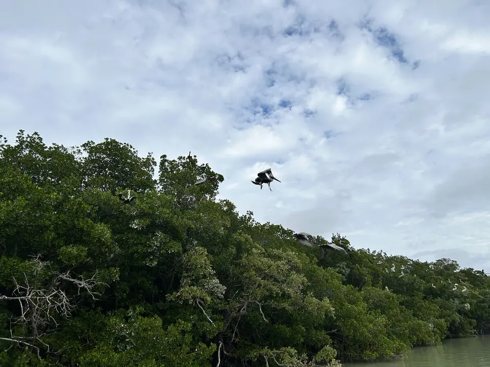Monroe County, Florida — January 14, 2025