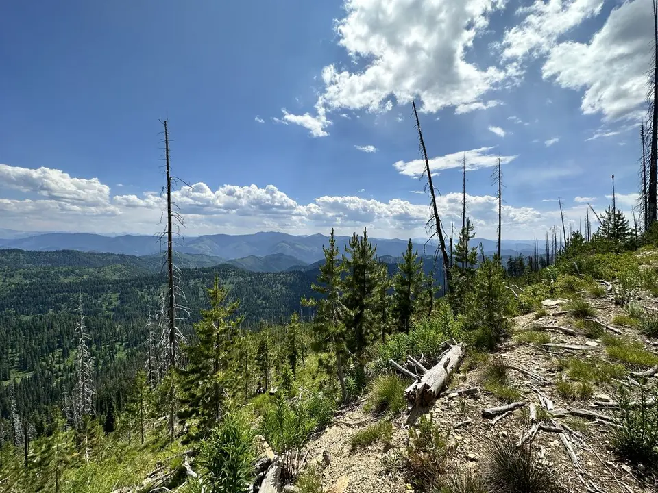 Lolo Trail — July 6, 2023
