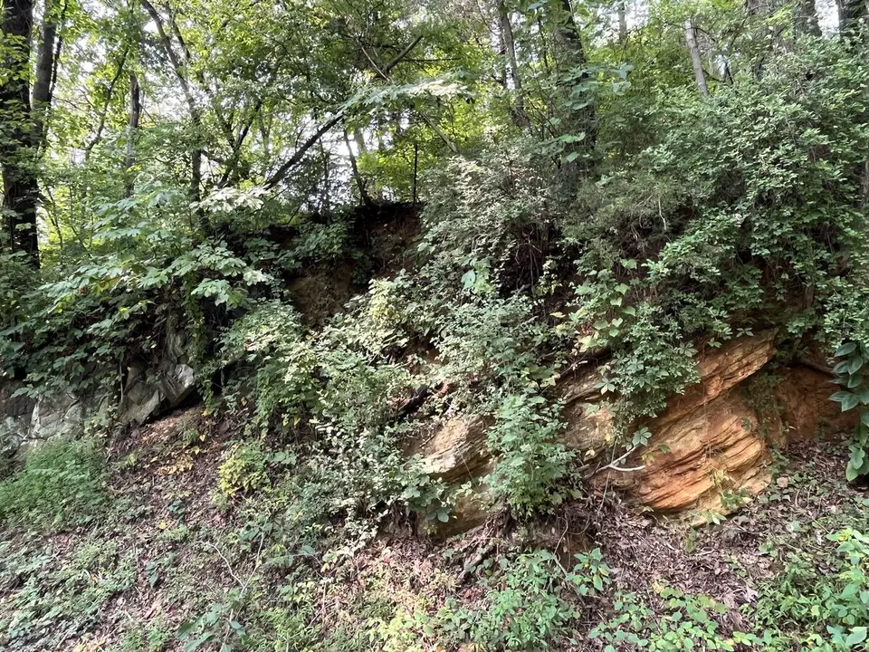 Central, Tennessee — September 5, 2025