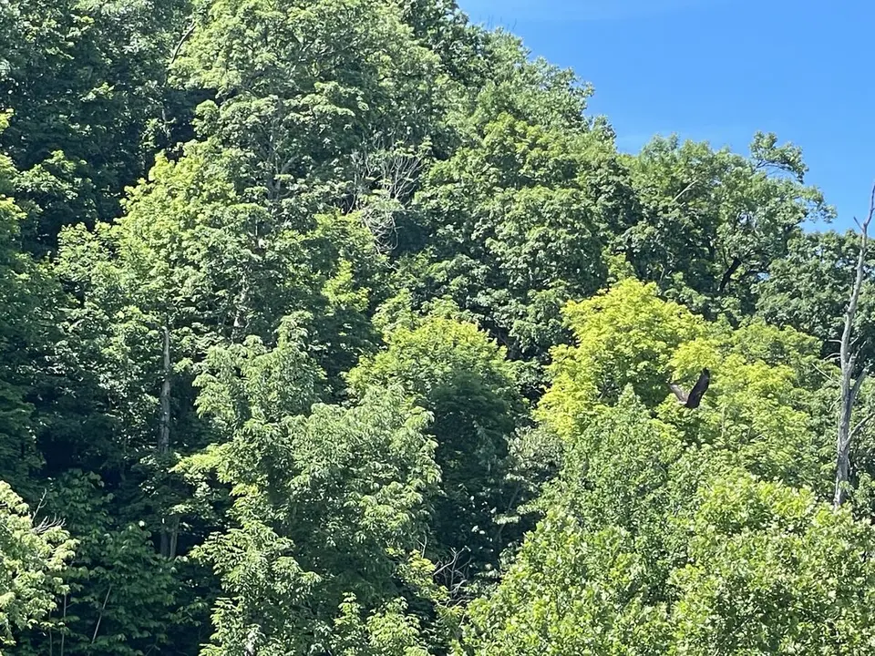 Ohio River, near Buckner, Kentucky — June 24, 2022
