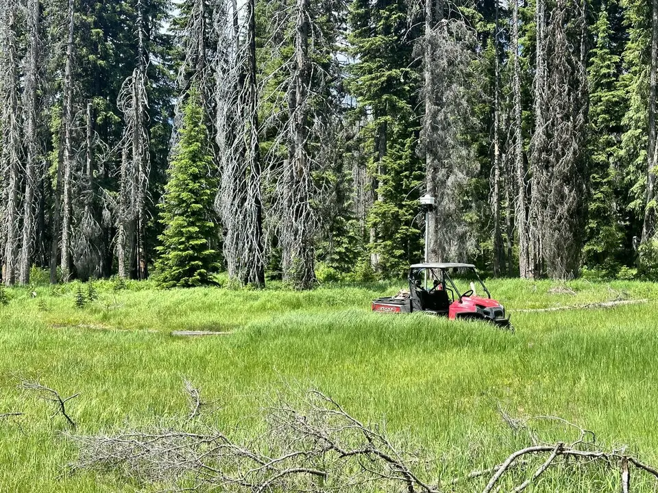 Trail Mapping — July 7, 2023