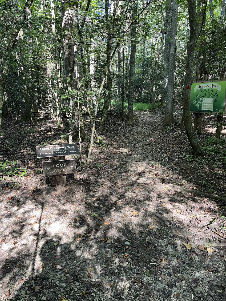 Near Glen Alpine, North Carolina — September 10, 2025