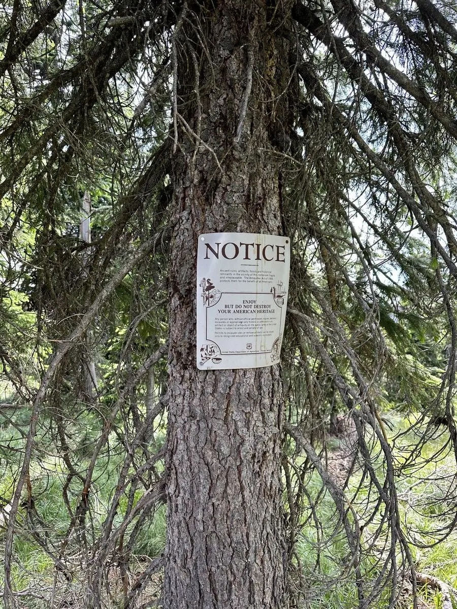 Lolo Trail — July 6, 2023