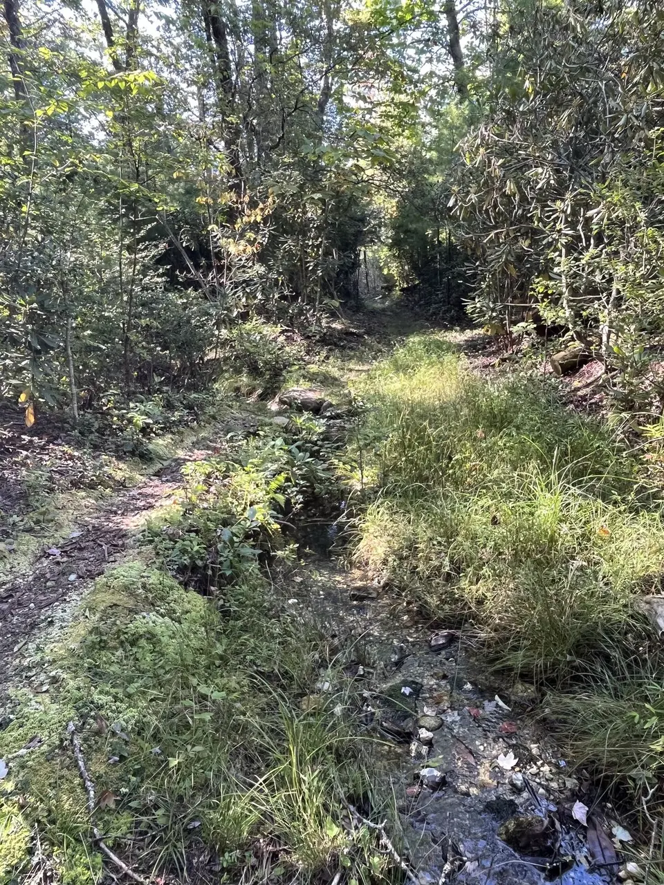 Near Spruce Pine, North Carolina — September 8, 2025