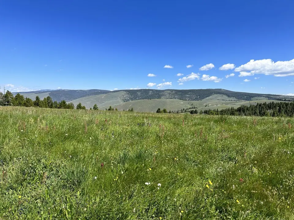 Lemhi Pass — July 11, 2023