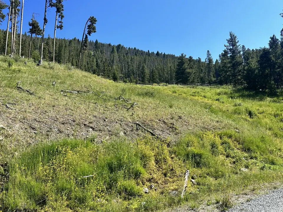 Lemhi Pass — July 11, 2023