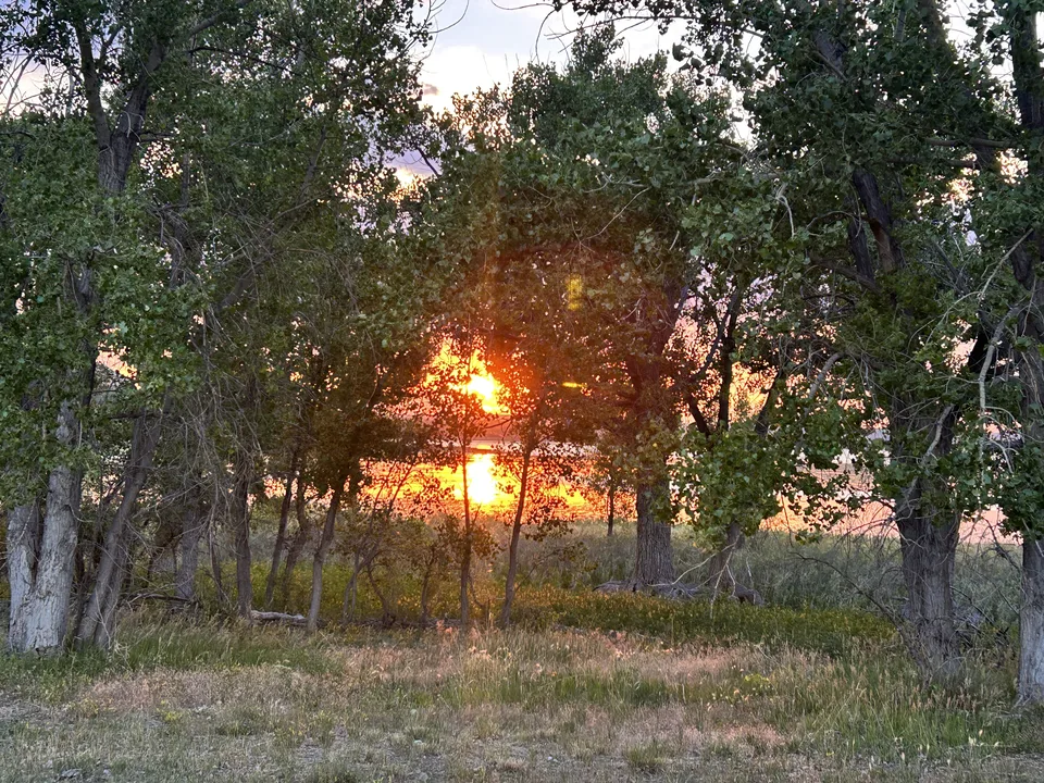 Platte County, Wyoming — July 5, 2026