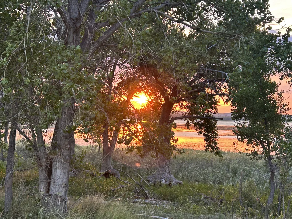 Platte County, Wyoming — July 5, 2026