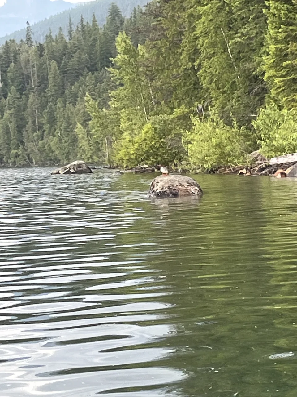 Lake McDonald, in Flathead County, Montana — July 8, 2026
