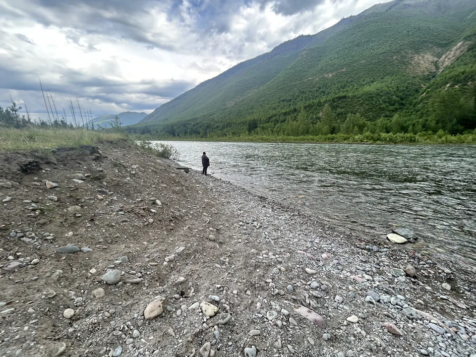 Flathead River, near Columbia Falls, Montana — July 8, 2026