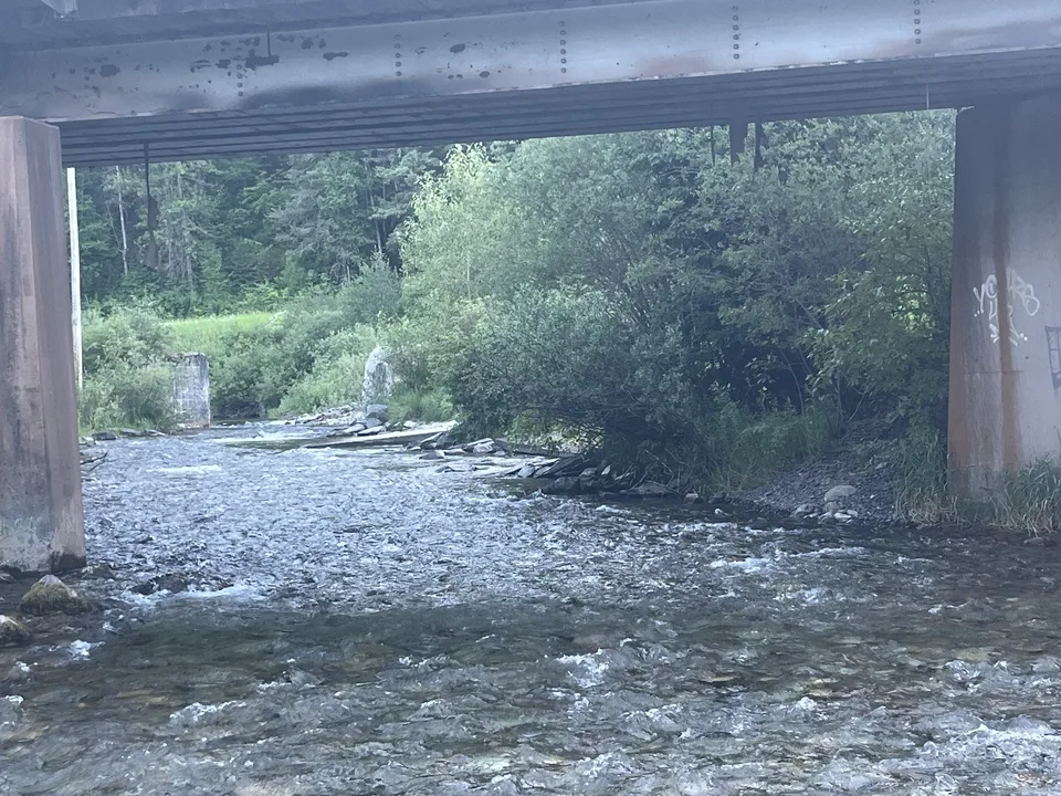 Flathead County, Montana — July 7, 2026