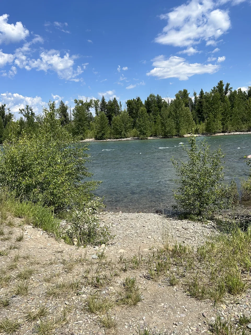 Flathead County, Montana — July 8, 2026