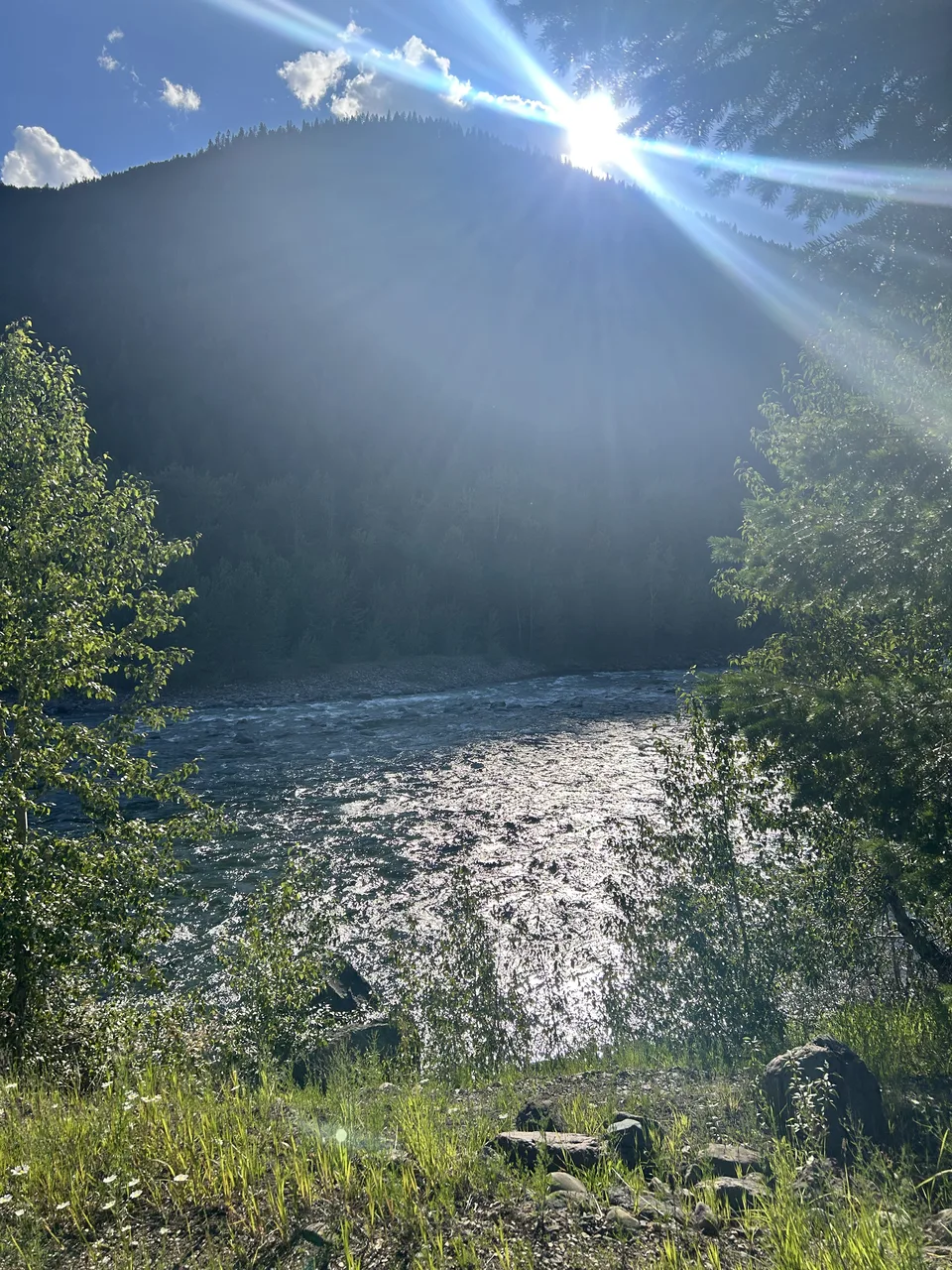 Flathead County, Montana — July 7, 2026