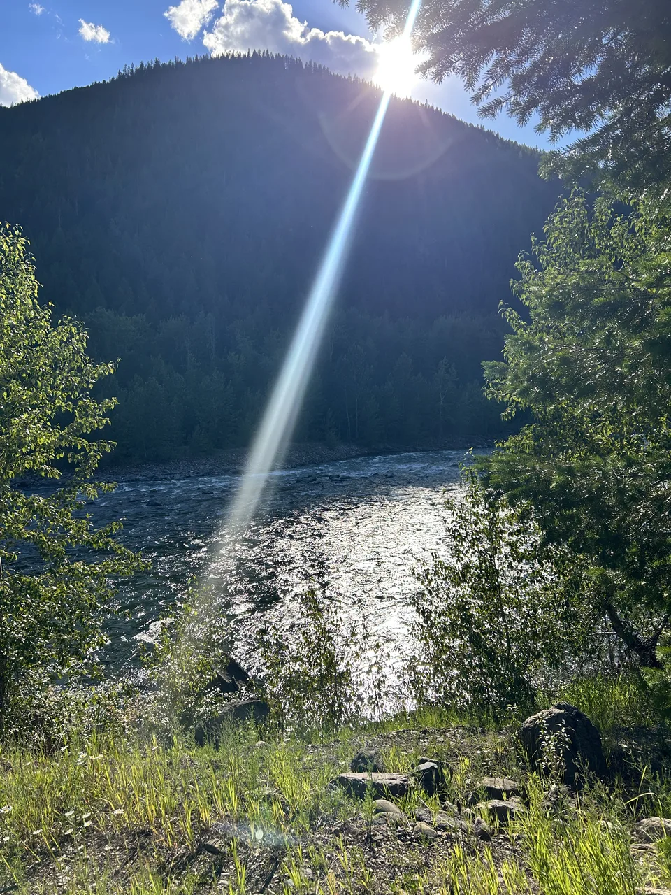 Flathead County, Montana — July 7, 2026