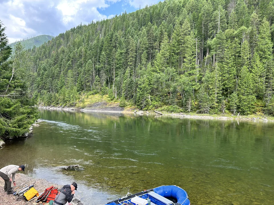 Flathead River, near Columbia Falls, Montana — July 8, 2026
