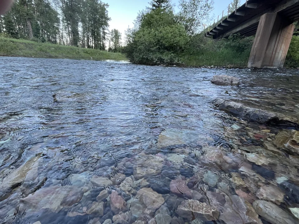 Flathead County, Montana — July 7, 2026