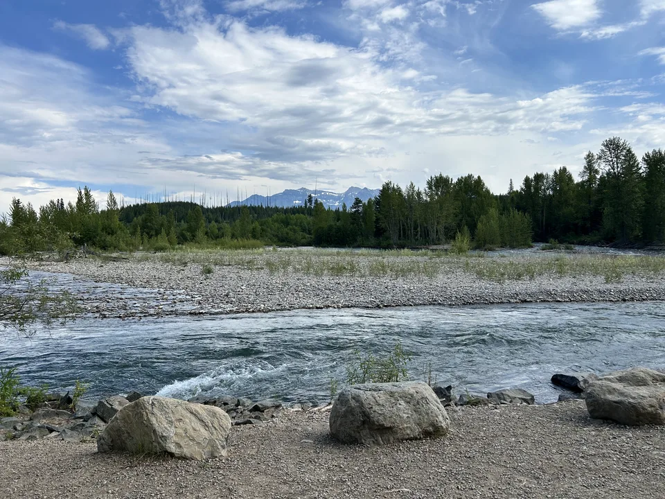 Flathead County, Montana — July 8, 2026