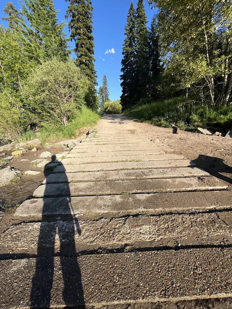 Flathead County, Montana — July 7, 2026