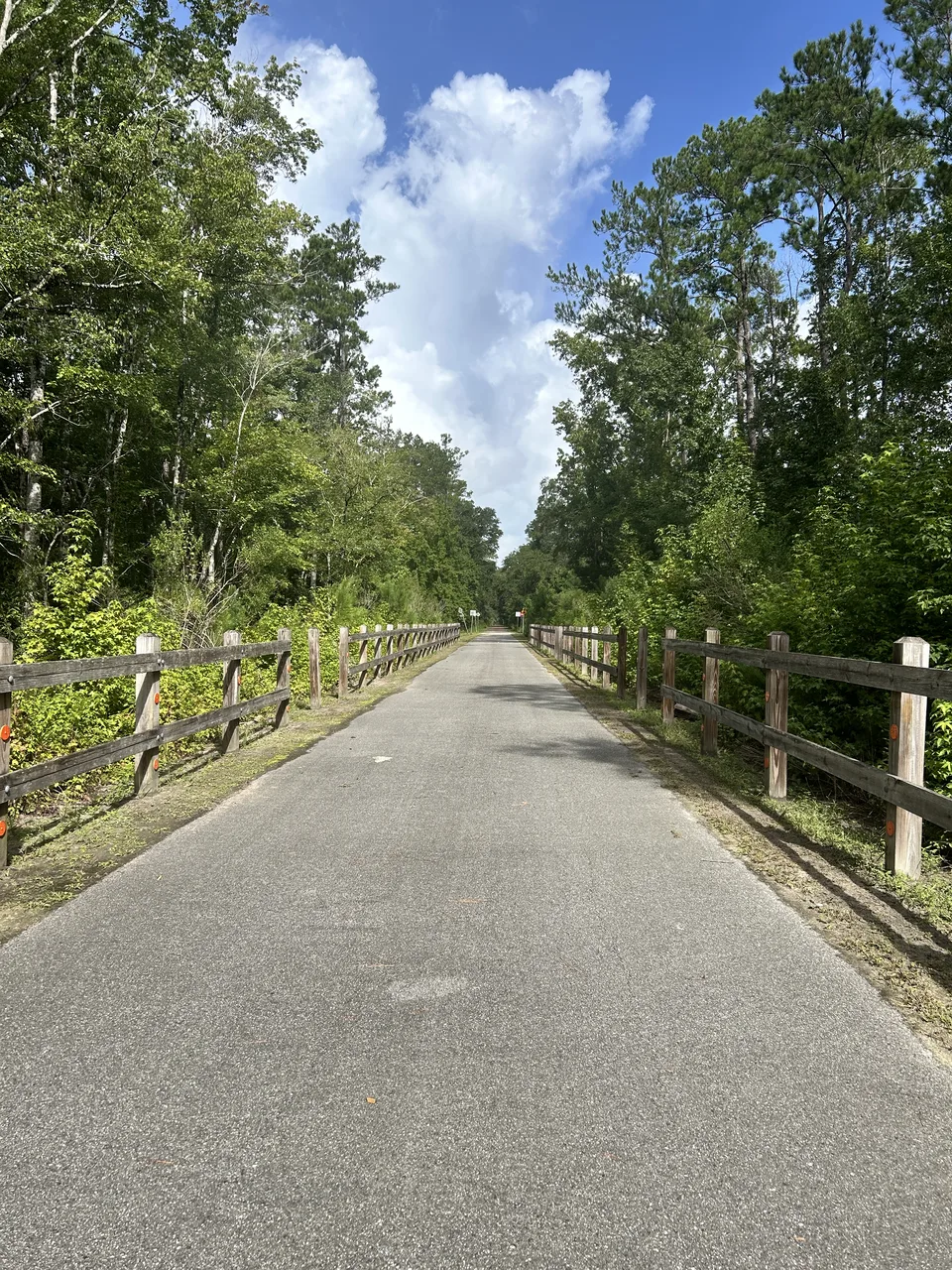 Near Palatka, Florida — August 7, 2026