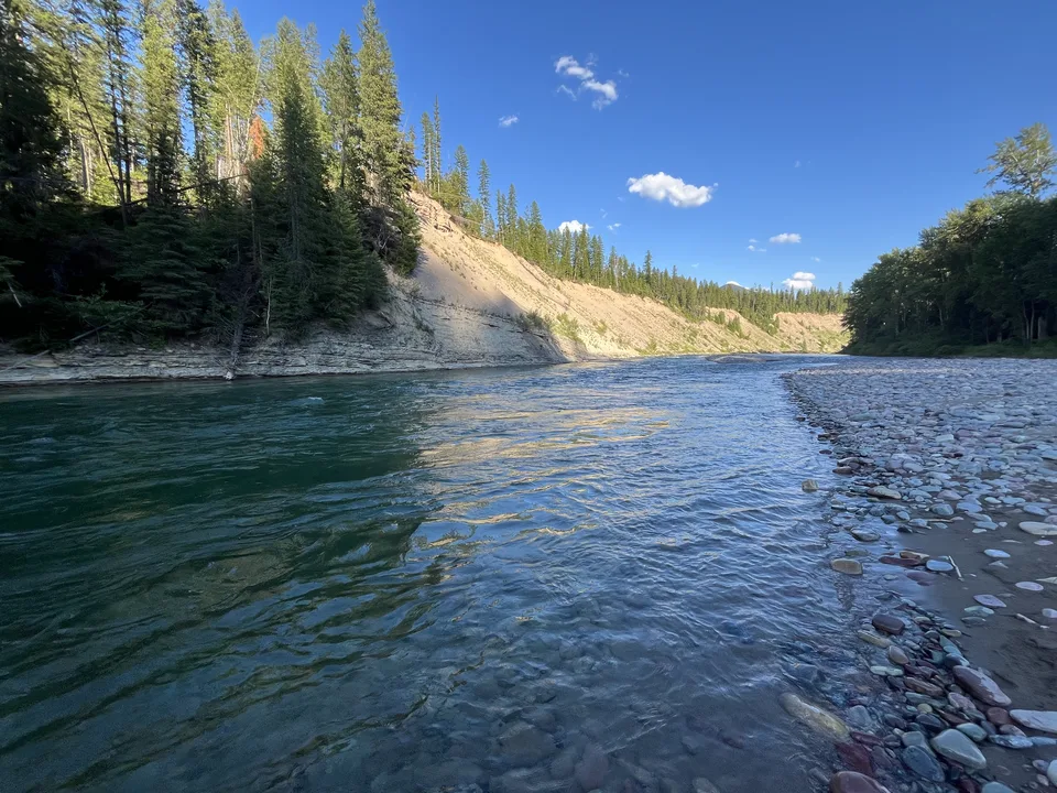 Flathead County, Montana — July 7, 2026
