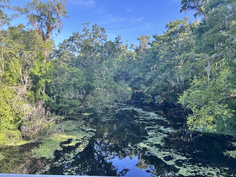 Near Flagler Estates, Florida — August 7, 2026