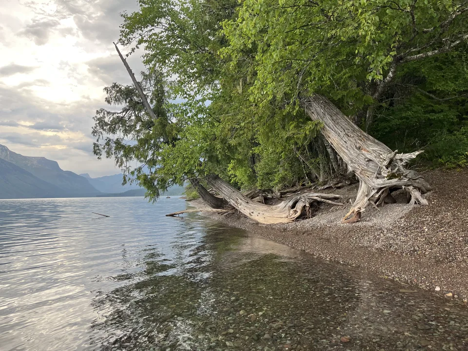Lake McDonald, in Flathead County, Montana — July 8, 2026