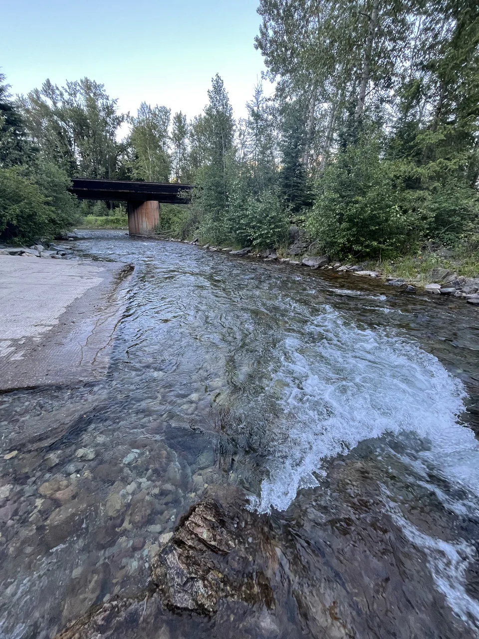 Flathead County, Montana — July 7, 2026