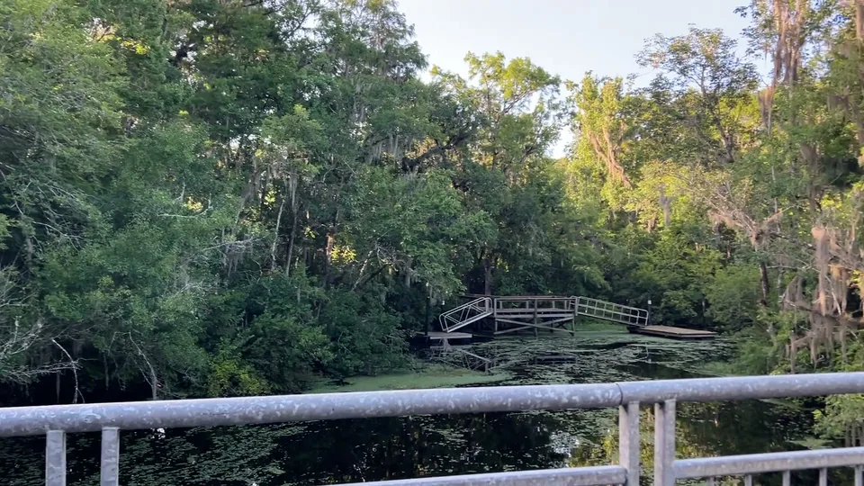Near Flagler Estates, Florida — August 7, 2026