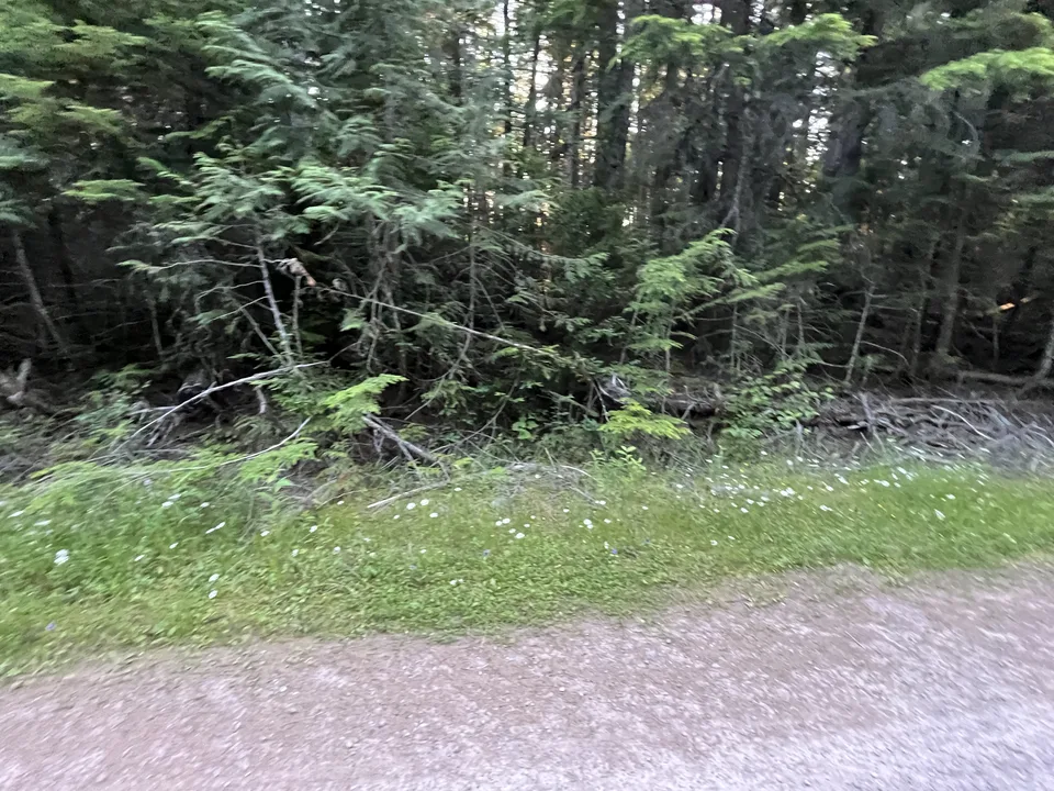 Lake McDonald, near Columbia Falls, Montana — July 8, 2026