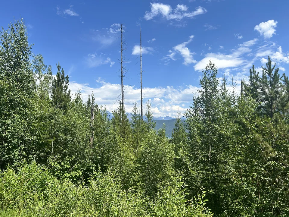 Lake McDonald, near Columbia Falls, Montana — July 8, 2026