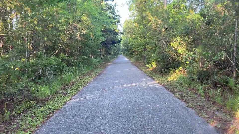 Near Flagler Estates, Florida — August 7, 2026
