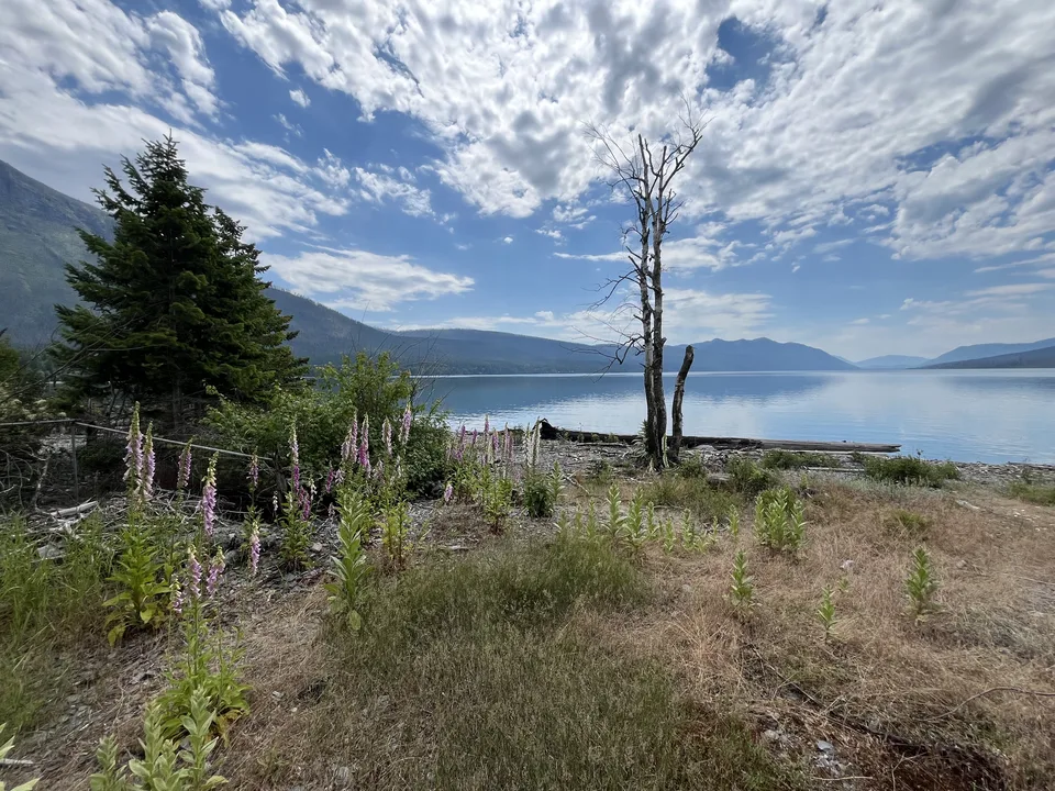 Lake McDonald, in Flathead County, Montana — July 8, 2026