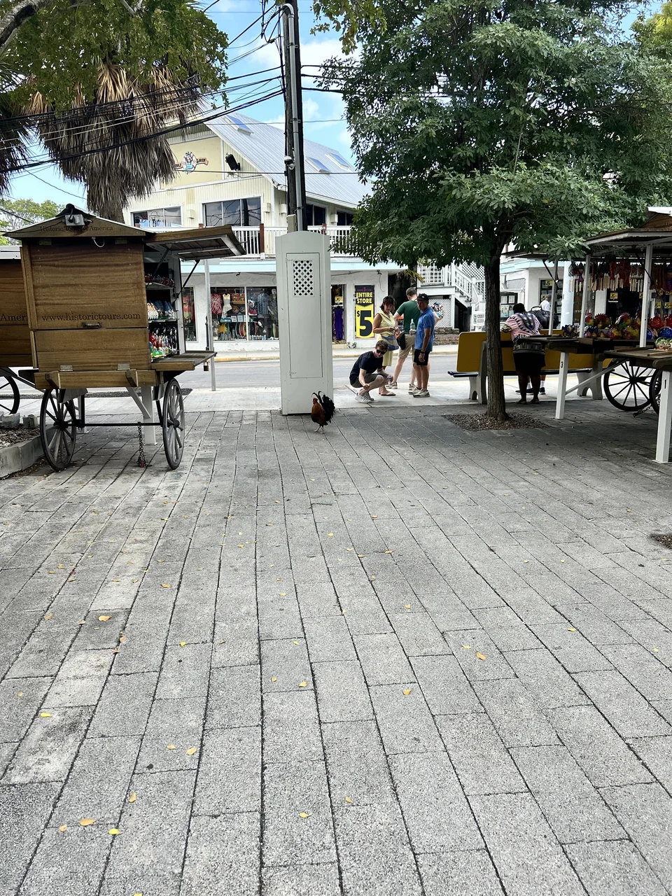 Big Pine Key to Key West — August 12, 2026